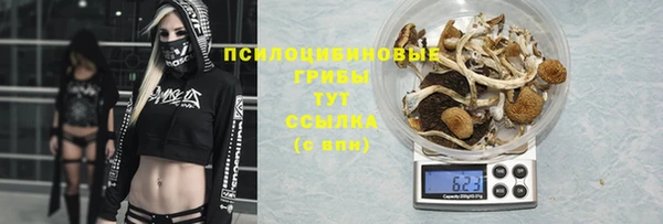 мяу мяу мука Алзамай