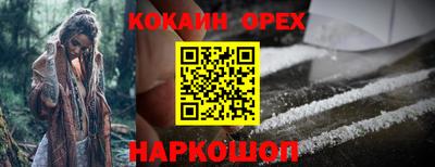 стафф Камышлов