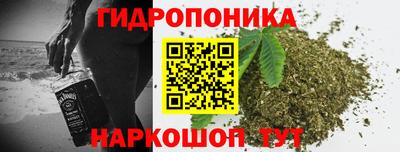 стафф Камышлов