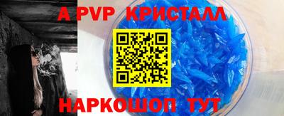 стафф Камышлов