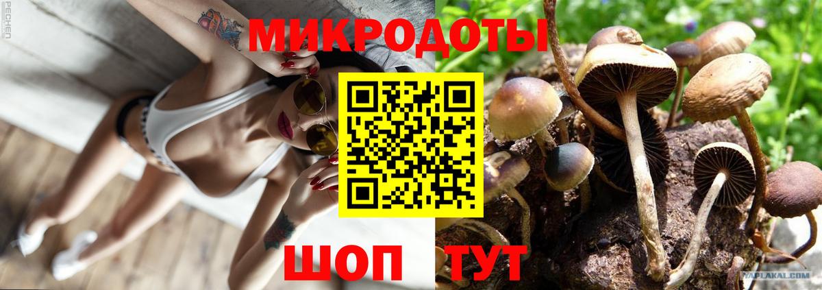 Галлюциногенные грибы мицелий  Галлюциногенные грибы GOLDEN TEACHER  Мирный  Вход с VPN 