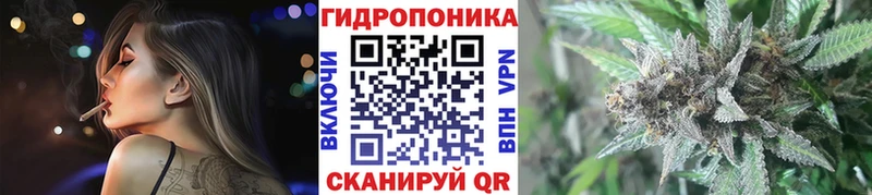 как найти закладки  Мирный  Бошки марихуана Amnesia 
